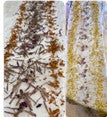 Natural Dyeing and Botanical Printing