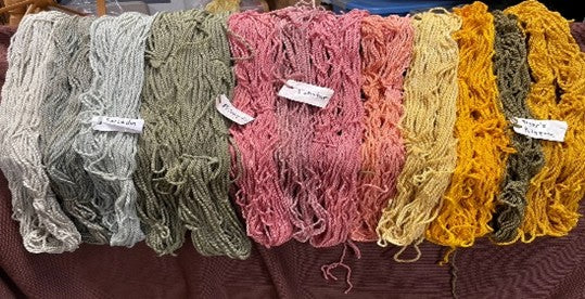 Dyeing Fiber with Lichens